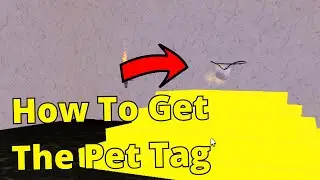 How To Get The pet Tag [Wacky Wizards]