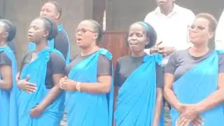 MAKAMBI MUHEZA