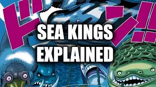 Sea Kings Explained | One Piece