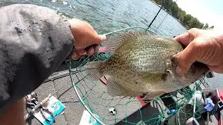 How To Catch Slab Crappie Using A GULP Sand Worm
