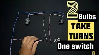 One Switch – Watch the Bulbs Take Turns Lighting Up