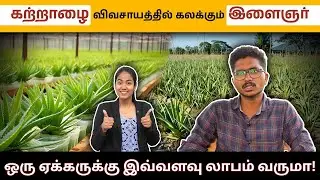 கற்றாழை விவசாயத்தில் கலக்கும் இளைஞர் | Aloe Vera Farming Details in Tamil