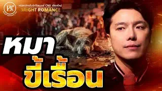 BRIGHT ROMANCE CNX | หมาขี้เรื้อน
