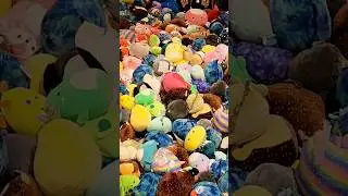 POV jumping in the squish pit 