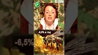 🦋Где насекомые?! Хроника гибели планеты