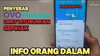 Penyebab Limit OVO PayLater di Turunkan Tanpa Sebab
