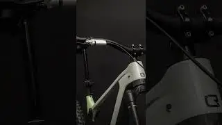 Fanatik Custom Bike: Crestline RS181