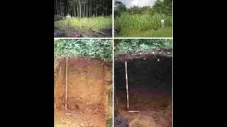 The Amazon's Terra Preta...natures wonder!