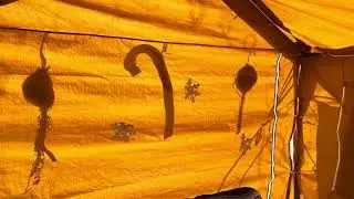 One of many NOMAD center camp music tents in Quartzsite 