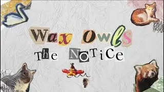 Wax Owls - The Notice (Lyric Video)