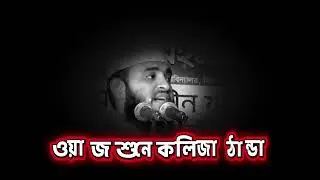 মিজানুর রহমান আজহারির জালসা।#mizanur_rahman_azhari jalsa #video 