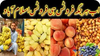 World of Fruits Islamabad | Daily Fruits Vlog Fruits Market Islamabad | Freshness & Fragrance  |