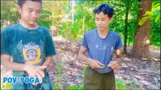 mancari buah buahan di hutan 