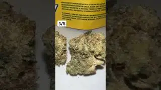 The Smokers Club Jobster (Review) #420 #smokeweedeveryday  #review