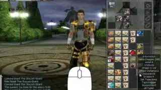 Ran Online Beginner's Guide : System
