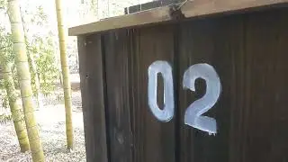 本日三本目