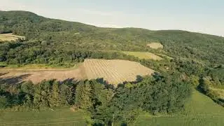 Cinematic Countryside flight #fpv #cinematic #drone #trees #low #summer