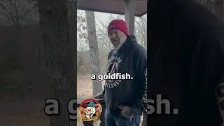 Увлечения