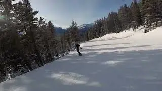Just don't hit tree, bro.