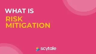 What is Risk Mitigation?