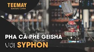 TEEMAY COFFEE - PHA CÀ PHÊ GEISHA VỚI SYPHON