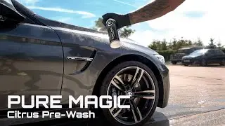Alien Magic Car Care Pure Magic Citrus Pre Wash