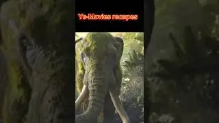 🐯 Jungle Ka Badshah Kaun? Ek Shocking Kahani! 😱🔥#film