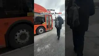 MiWay Mississauga Bus 🇨🇦 | Transportation #shorts #fypシ゚