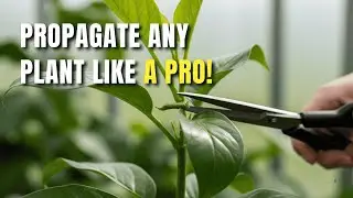 This 1 Secret Hack Guarantees You Can Propagate ANY Plant!