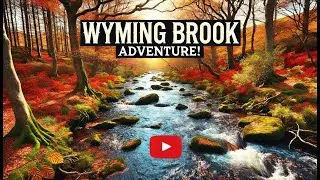 Rivelin Valley & Wyming Brook: A Hidden Adventure