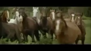 The Man from Snowy River_Part One_Wallis&Matilda_x264.mp4