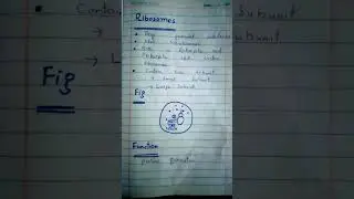 Ribosomes and fuction