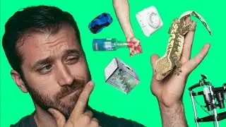 Top Crested Gecko Breeder Accessories 2022
