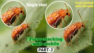 Focus stacking with Mobile | Part-3
