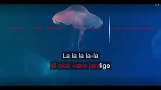 J&aelig;vlig - TIX - Karaoke