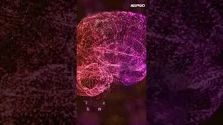 NUEROQ - Pakistan&rsquo;s first Quantum EEG Brain-User Interface (BUI) #neuroq