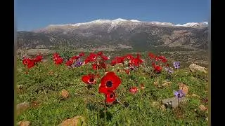 Κρητικές Μαδάρες-Γείς κυνηγός ανάτειλε όξ' απού τσ' όξω χώρες
