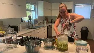 Apple Cider Vinegar & Kombucha | Gut Boosting Chemistry in the Kitchen