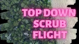 Top down Scrub flight plus bonus Roundabout Hyperlapse | DJI Mini 3 Pro top down view