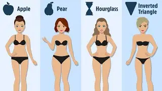 Weight Loss Workout at Home || Cardio Workout at Home || No gym Equipment needed