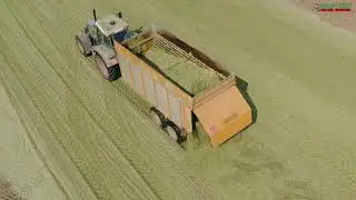 Agro Tech Michał Adamek. Koszenie kukurydzy na kiszonkę 2020 rok