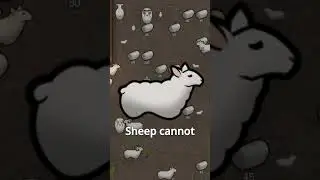 RIMWORLD SHEEP FACTS  #facts #gaming #rimworld #steamworld #projectzomboid  #herbalmedicine #shorts