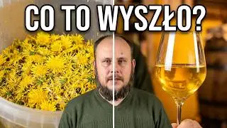 Jak zrobić wino z mniszka lekarskiego? [2]