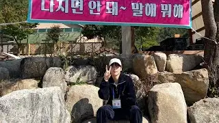 춤짱 강아지 랜덤플레이댄스 모음