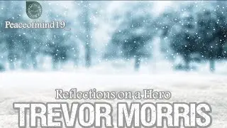 Reflections on a Hero,Trevor Morris