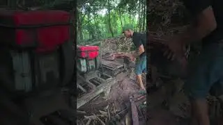 Awalnya biasa saja, ternyata kayu ini bermotif cantik