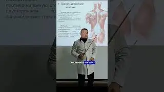 Трапециевидная мышца &mdash; важнейшая часть спины / trapezius muscle