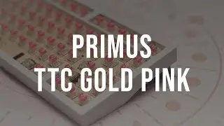 Primus | Lubed TTC Gold Pink |