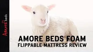 Amore Beds Foam Flippable Mattress Review 2018