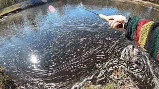 Tenkara fly fishing a New Spot with some Technical Difficulties